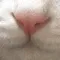 lick
