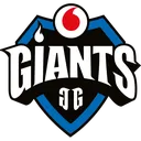 VodafoneGiants