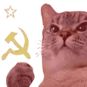 commie_cat