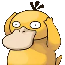 psyduck