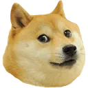 CC_doge Discord Emoji
