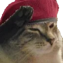 rcat_salute