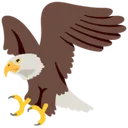 googleeagle