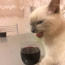winecat Discord emoji