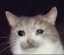 aaaaaaaaaaapain