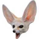 fenpog Discord Emoji