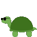 TurtleBounce