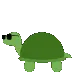 TurtleBounce