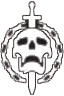 raid