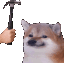 bonkdog
