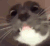 sniff Discord emoji