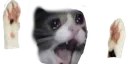 ch_catspair