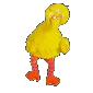 big_dance