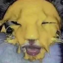 ChEEsE ChEEsE