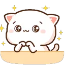 AMcatinnocentowo AMcatinnocentowo