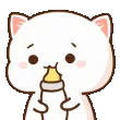 AMcatmilksip