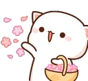 AMcatflowerpetals