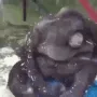 MonkeFall