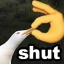 shut
