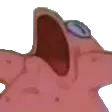 patnut