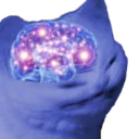 braincat