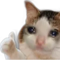 CriCatOkay