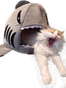 Catwhat Catwhat