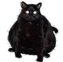 catman catman