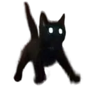 catjump catjump