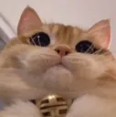 GMwot GMwot