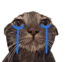 WalidSad Discord Emoji