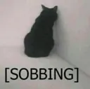 sob sob