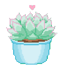 301_plant