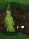 pain