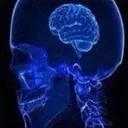 BrainSmall Discord Emoji