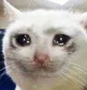 crycat