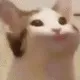 BABABA