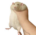 fatrat Discord emoji