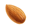 almond Discord emoji