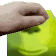 pettheandrina