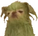greendog