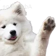 DoggoWave