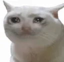 sad_cat Discord Emoji