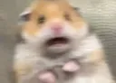 __