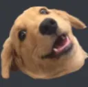 WeirdDog
