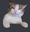 zeekums Discord emoji