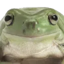 frognod