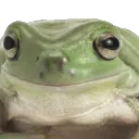 frogno