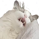 catsleepy Discord emoji