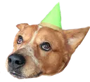 PartyClyde